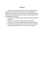 Referāts 'Bezsaimnieku kaķi Rīgā', 23.