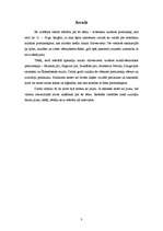 Referāts 'Mūsdienu kultūras pieminekļi, kas celti 15. - 19.gs.', 3.