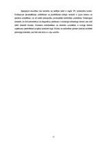 Referāts 'Tiešā pārdošana', 17.