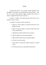 Referāts 'Tūrisma modeļi pasaules reģionos: Tuvo Austrumu reģiona Apvienoto Arābu Emirātu ', 3.