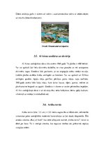 Referāts 'Tūrisma modeļi pasaules reģionos: Tuvo Austrumu reģiona Apvienoto Arābu Emirātu ', 12.