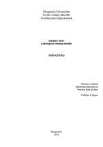 Referāts 'Psihodrāma (trenings)', 1.