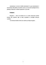 Referāts 'Ķīmija pārtikas rūpniecībā', 6.