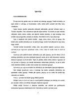 Referāts 'Baltijas valstis interneta tīmeklī', 7.