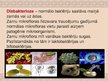 Prezentācija 'Bērnu disbakterioze', 3.