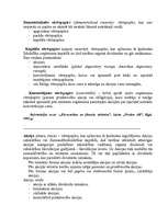 Konspekts 'Vērtspapīru veidu, izglītības iestāžu un citu terminu definīcijas', 3.