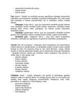 Konspekts 'Vērtspapīru veidu, izglītības iestāžu un citu terminu definīcijas', 4.