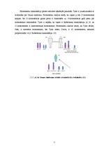 Referāts 'Dauna sindroms', 5.