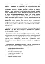 Referāts 'Interneta mārketings', 6.