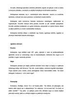 Referāts 'Interneta mārketings', 7.