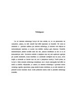 Referāts 'Interneta mārketings', 11.