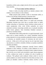 Referāts 'Demokrātiskā politiskā režīma raksturojums', 9.