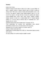 Konspekts 'Ceļojums uz Horvātiju', 6.