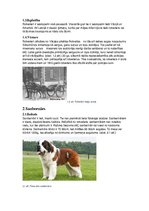 Konspekts 'Tekstapstrādes projekts. Suņi', 5.