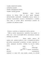 Referāts 'Ģimenes un skolas sadarbība personības socializācijas procesā', 2.