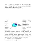 Referāts 'Ģimenes un skolas sadarbība personības socializācijas procesā', 3.