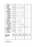 Paraugs 'Hronometrāžas protokols', 2.