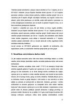 Referāts 'Cilvēks un darba vide', 17.