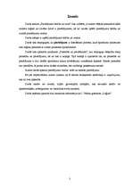 Referāts 'Pierādījumu veidi un būtība', 3.