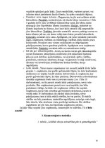 Referāts 'Komercdarbības organizēšanas būtība un raksturojums', 20.