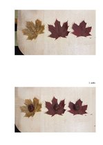 Konspekts 'Matemātikas uzdevumu īstenošanas plāns izpratnes veidošanai par skaitu un skaitī', 4.