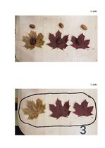 Konspekts 'Matemātikas uzdevumu īstenošanas plāns izpratnes veidošanai par skaitu un skaitī', 5.