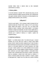 Referāts 'Vīrusa hepatīti', 12.