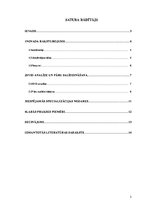 Referāts 'Rundāles novada raksturojums un analīze', 2.