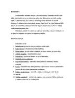 Referāts 'Komentārs kā medija viedoklis (mediju prakses analīze)', 2.