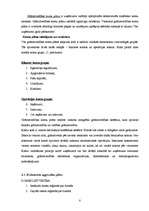 Prakses atskaite 'Grāmatvedības paņēmienu pielietojums', 8.