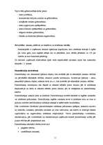 Prakses atskaite 'Grāmatvedības paņēmienu pielietojums', 11.