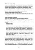 Prakses atskaite 'Grāmatvedības paņēmienu pielietojums', 13.