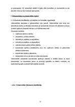 Prakses atskaite 'Grāmatvedības paņēmienu pielietojums', 14.