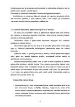 Prakses atskaite 'Grāmatvedības paņēmienu pielietojums', 17.