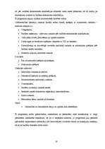 Prakses atskaite 'Grāmatvedības paņēmienu pielietojums', 19.