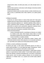 Prakses atskaite 'Grāmatvedības paņēmienu pielietojums', 25.