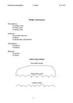 Konspekts 'Ievads masu komunikācijā', 2.