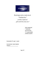 Referāts 'Problēma "gribu stāvvietu savam auto" uzņēmumā', 1.