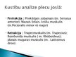Prezentācija 'Slidošanas kustību analīze', 12.