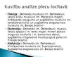 Prezentācija 'Slidošanas kustību analīze', 13.