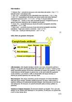 Referāts 'Radiācijas ietekme uz organismiem', 3.