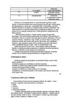 Referāts 'Radiācijas ietekme uz organismiem', 5.