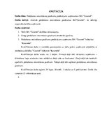 Referāts 'Pārdošanas veicināšanas pasākumu piedāvājums uzņēmumam SIA "Caramel"', 5.