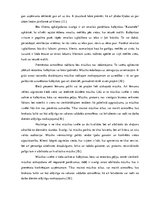 Referāts 'Pārdošanas veicināšanas pasākumu piedāvājums uzņēmumam SIA "Caramel"', 23.