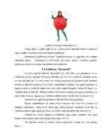 Referāts 'Pārdošanas veicināšanas pasākumu piedāvājums uzņēmumam SIA "Caramel"', 28.