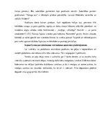 Referāts 'Pārdošanas veicināšanas pasākumu piedāvājums uzņēmumam SIA "Caramel"', 35.