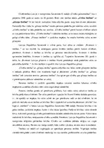 Eseja 'Valsts un cilvēktiesības', 3.