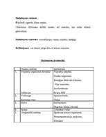 Referāts 'Aromāti', 27.