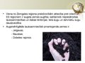 Prezentācija 'Zemgales reģions', 8.
