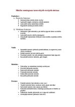 Konspekts 'Mācību organizācijas formas', 5.